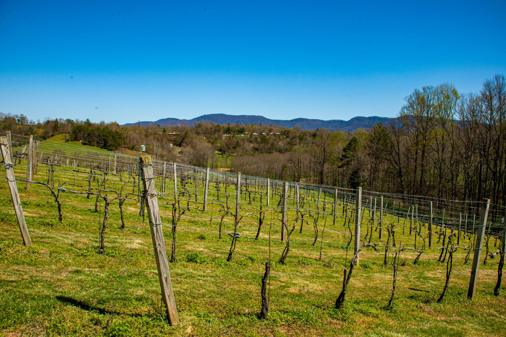 20210403-LEE_1746-Edit.jpg